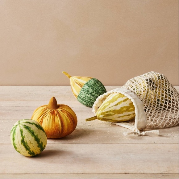john derian Other - John Derian  fabric gourds set of 5 piece set.